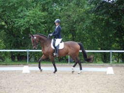 IMG_0266_web
